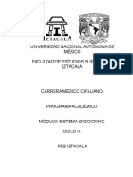 M. Sistema Endocrino