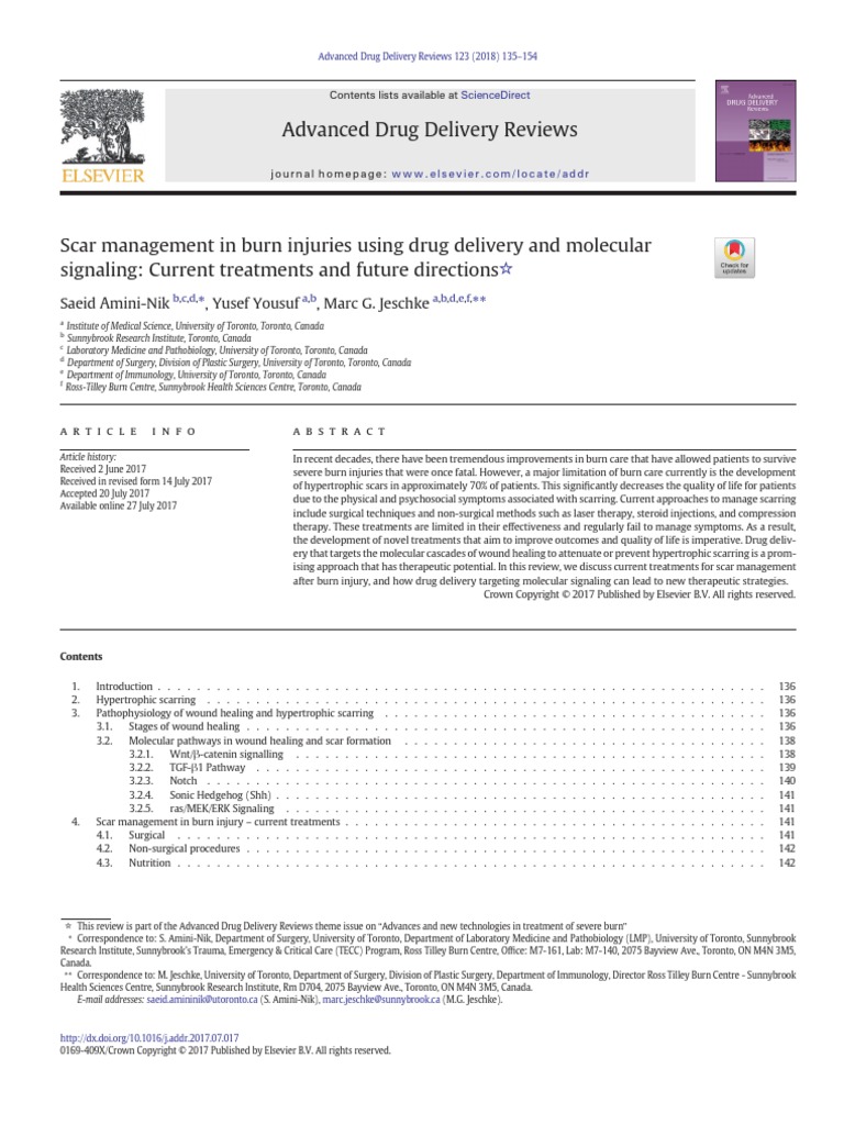 Scar Management in Burn Injuries Using Drug Delivery and 2018 Advanced
