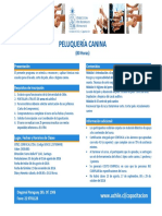 Programa Peluqueria Canina PDF 195 KB PDF