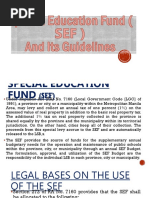 Special Education Fund (SEF)