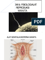 Anatomi Fisiologi Reproduksi Wanita