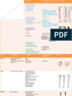 Anatomia del miembro inferior.pptx