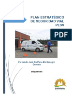 Pesv Serviciudad