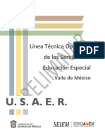 Línea Técnica 2019 USAER-SEIEM