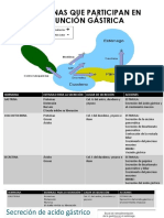 Hormonas Que Participan en La Función Gástrica