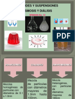 Semana Expociencia