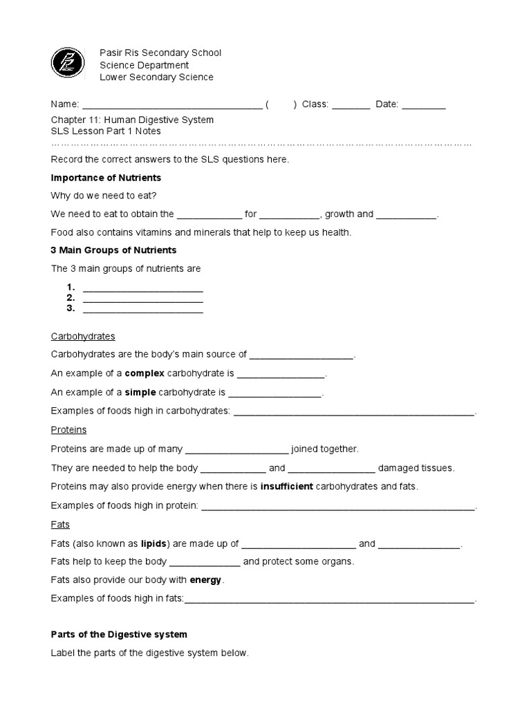Human Digestive System Sls Worksheet  PDF  Carbohydrates  Digestion For Digestive System Worksheet High School
