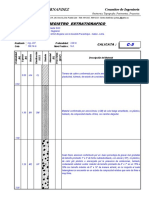 REG. EST. C5 Luis Negreiros PDF
