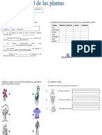 Leccion de CCNN Utilidad Plantas