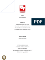 Informe Perfil Topográfico