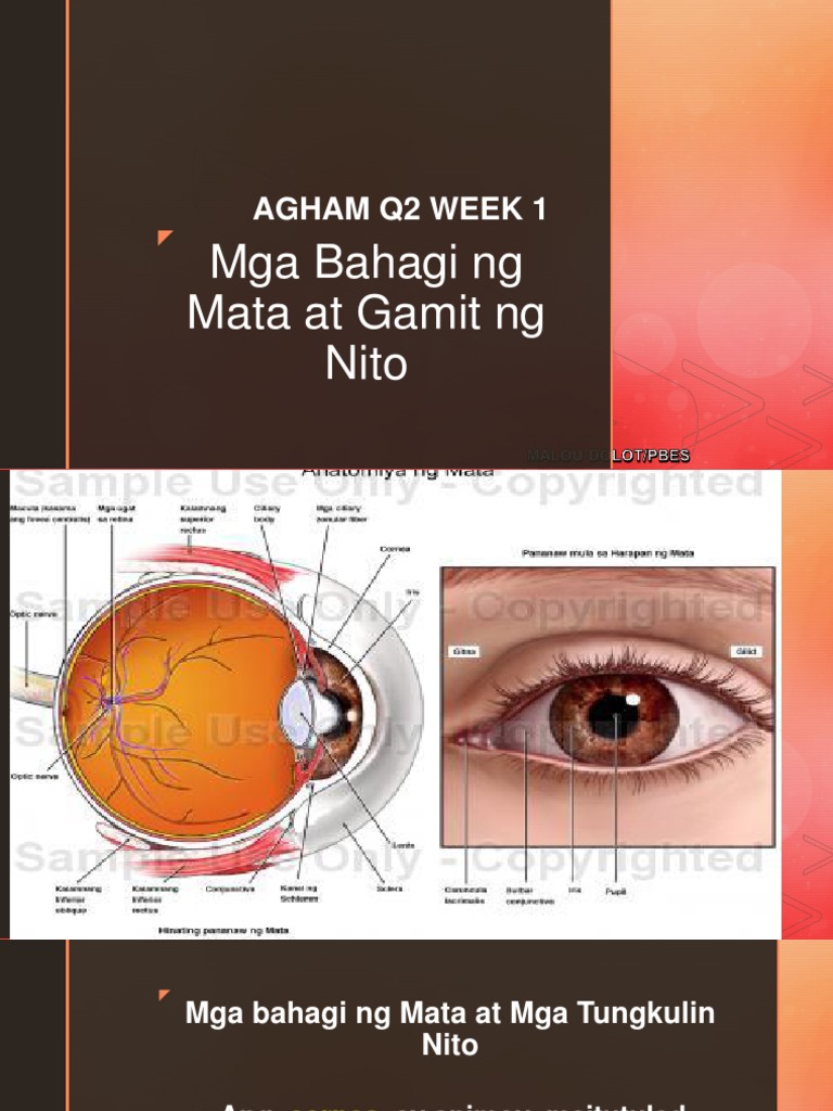 ScienceMga Bahagi Ng Mata at Gamit Ng Nito