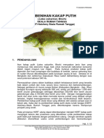 Pembenihan Kakap Putih HSRT PDF