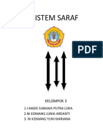 Sistem Saraf