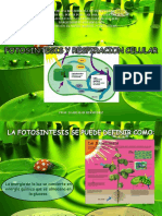 fotosintesisyrespiracion-pc-g-g-2010-101209163042-phpapp01.ppt