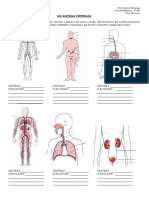 2º Año - Ficha de trabajo - Sistemas corporales - 2013.pdf