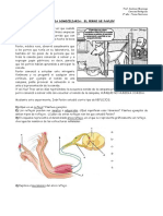 BIOLOGÍA 2º - Tarea Domiciliaria - Reflejos - El Perro de Pavlov