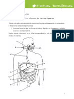 biologia_Ficha 4 Actividad digestion.pdf
