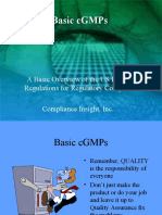 Basic CGMP Guidelines