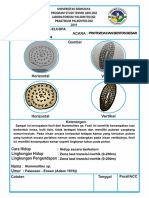 Nummulites.pdf