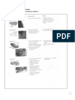Estruturas Celulares - PDF
