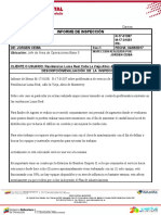 Formato Inspecciones