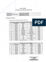 Plan de Trabajo Zonal Amazonas