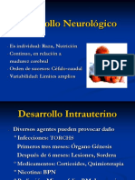 Desarrollo Neurológico