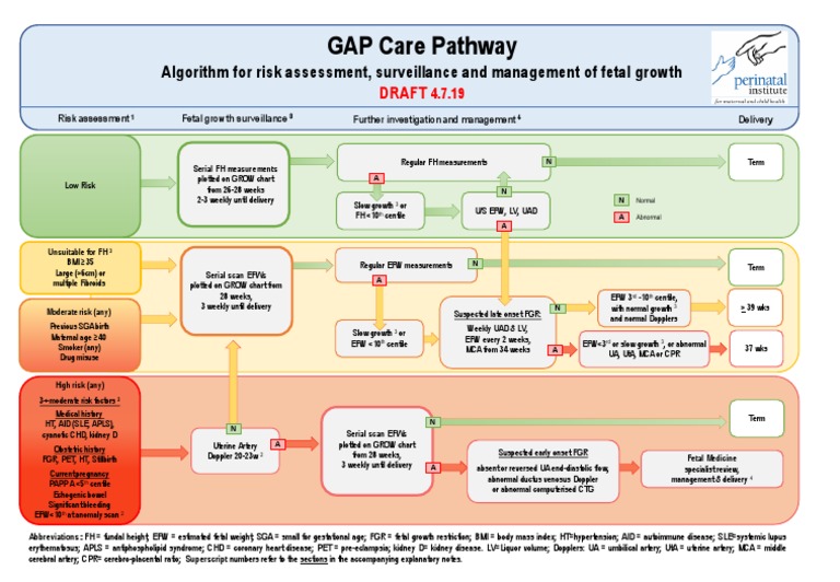Fetal Growth Risk Assessment Guide | PDF | Fetus | Childbirth