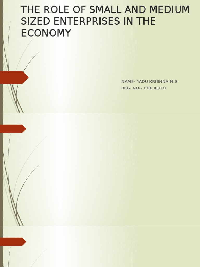 Role of SMEs in the Economy | PDF