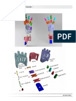 Imagenes PDF Prothestic Hand