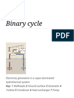 Binary Cycle