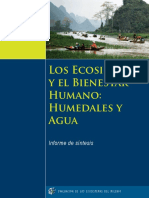 MA WetlandsandWater Spanish PDF