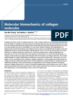 Molecular Biomechanics of Collagen Molecules: Shu-Wei Chang and Markus J. Buehler