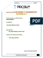 INFORME DE PIERINA.docx