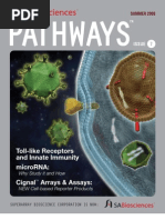 Download SABiosciences Pathways Issue 7 by triplegreenhand SN4232703 doc pdf