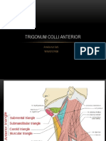 Trigonum Colli Anterior