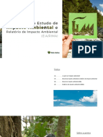 Estudo de Impacto Ambiental Eia Rima PDF