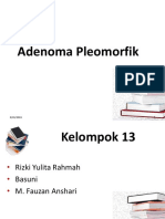 109587447 Pleomorfik Adenoma