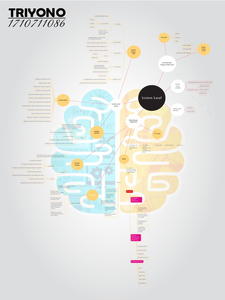 Mind Map Sistem Saraf | PDF