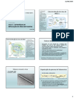 Aula 5 - Replicação Viral - Parte 2
