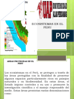 Ecosistemas en El Peru