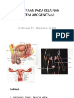 Pemeriksaan Radiologi Pada Sistem Urogenitalia