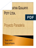 CooperativaGuayaibi PDF