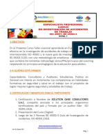 1-Silabus-Curso Especialista Profesional Ludico de Accidentes de Trabajo Iso 45001, Iso 45002-3