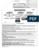 ecosistema (3).docx