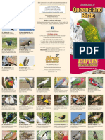 QLD Birds Select Brochure