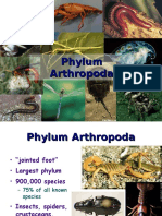 Arthropods Report