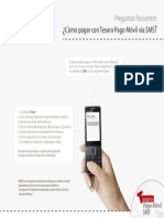 P2P Pagar SMS.pdf