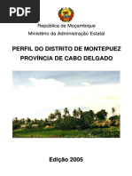 Montepuez.pdf