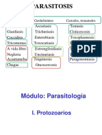 Repaso de Parasitología